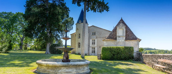 Château de Fayolle, Sang Du Sanglier 2020, Merlot, (750ML), 15% VOL